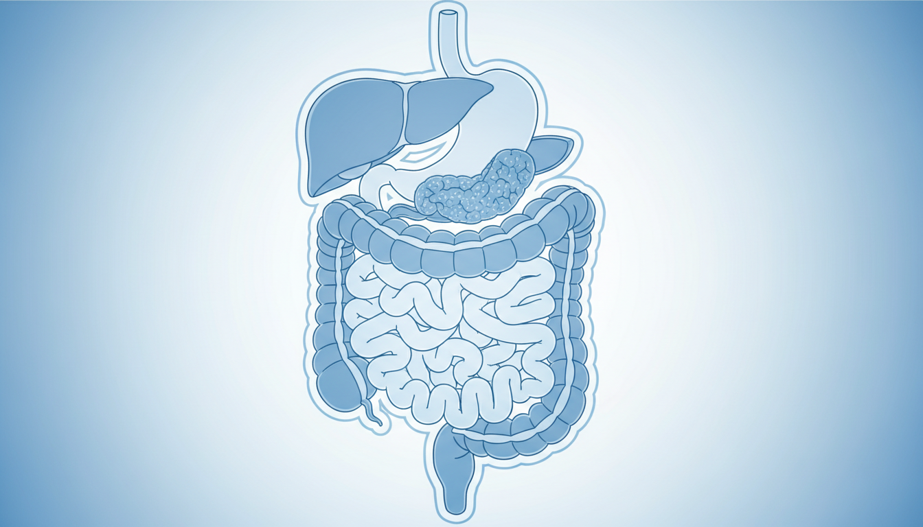 Lombrices intestinales: síntomas en adultos y cómo identificarlas